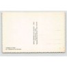 Rare collectable postcards of ALGERIE. Vintage Postcards of ALGERIE