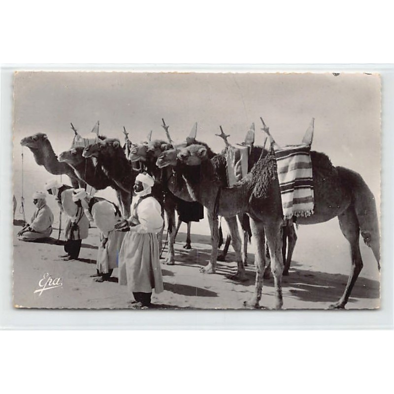 Rare collectable postcards of ALGERIE. Vintage Postcards of ALGERIE