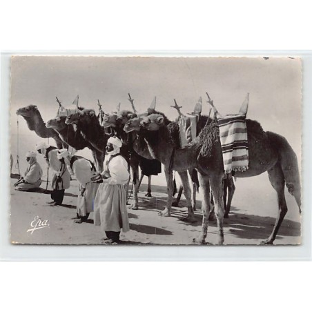 Rare collectable postcards of ALGERIE. Vintage Postcards of ALGERIE
