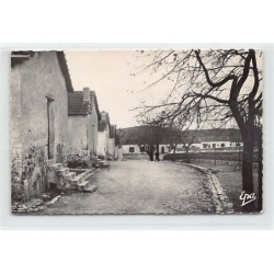 Rare collectable postcards of ALGERIE. Vintage Postcards of ALGERIE