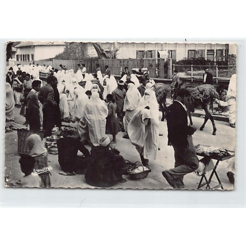 Rare collectable postcards of ALGERIE. Vintage Postcards of ALGERIE