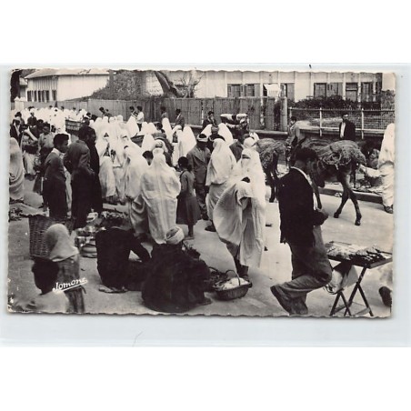 Rare collectable postcards of ALGERIE. Vintage Postcards of ALGERIE