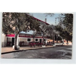 Rare collectable postcards of ALGERIE. Vintage Postcards of ALGERIE