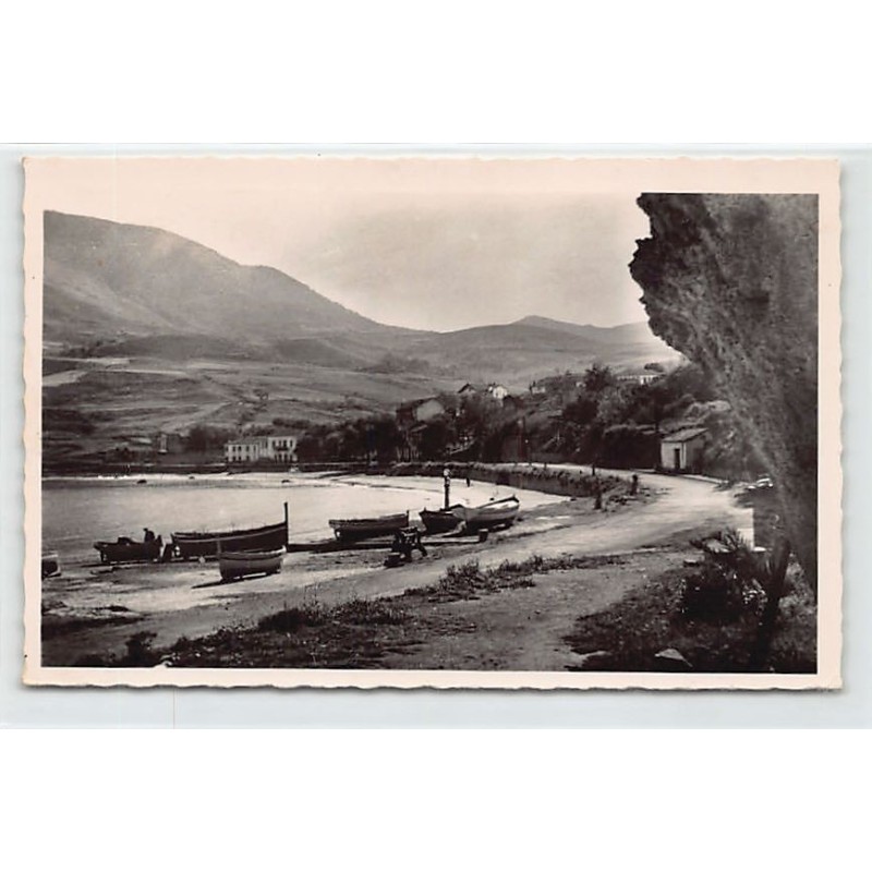 Rare collectable postcards of ALGERIE. Vintage Postcards of ALGERIE
