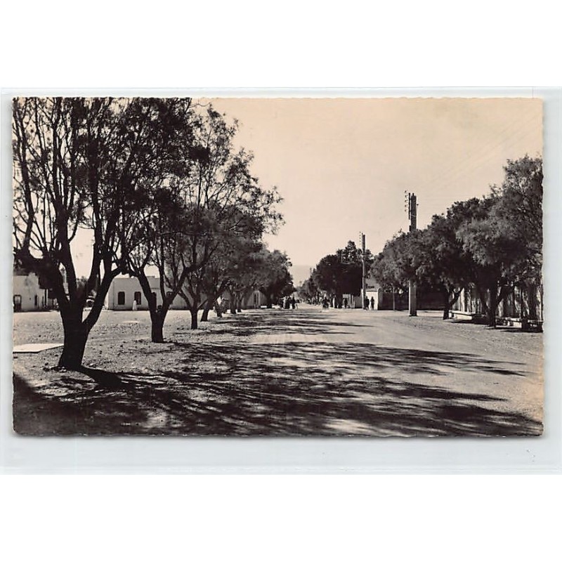 Rare collectable postcards of ALGERIE. Vintage Postcards of ALGERIE