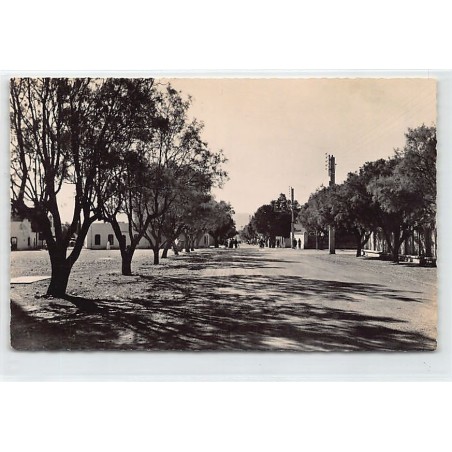 Rare collectable postcards of ALGERIE. Vintage Postcards of ALGERIE
