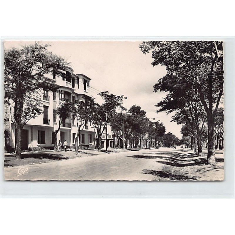 Rare collectable postcards of ALGERIE. Vintage Postcards of ALGERIE