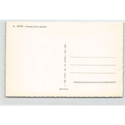 Rare collectable postcards of ALGERIE. Vintage Postcards of ALGERIE