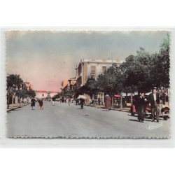 Rare collectable postcards of ALGERIE. Vintage Postcards of ALGERIE