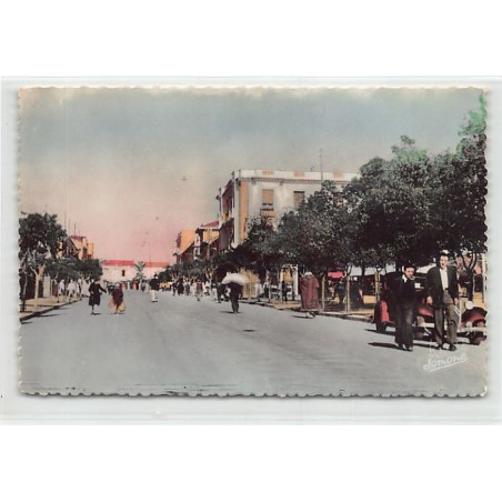 Rare collectable postcards of ALGERIE. Vintage Postcards of ALGERIE