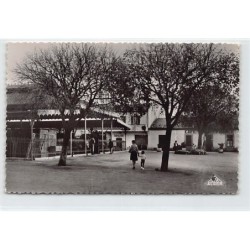 Rare collectable postcards of ALGERIE. Vintage Postcards of ALGERIE
