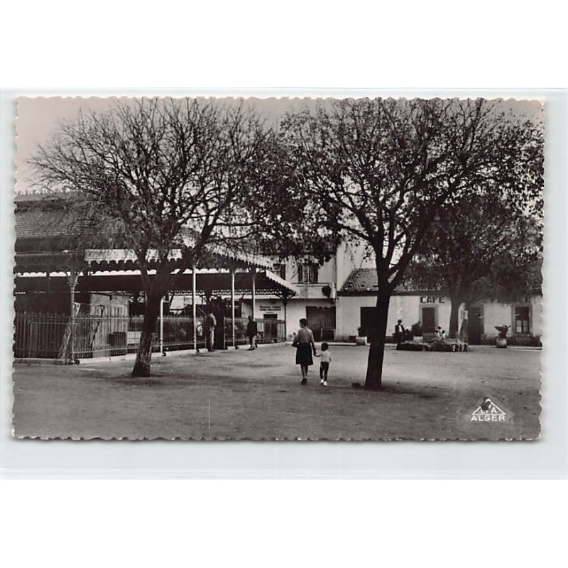 Rare collectable postcards of ALGERIE. Vintage Postcards of ALGERIE