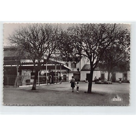 Rare collectable postcards of ALGERIE. Vintage Postcards of ALGERIE