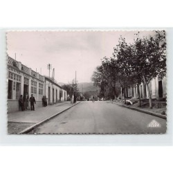 Rare collectable postcards of ALGERIE. Vintage Postcards of ALGERIE
