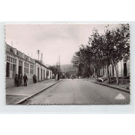 Rare collectable postcards of ALGERIE. Vintage Postcards of ALGERIE