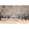 Rare collectable postcards of ALGERIE. Vintage Postcards of ALGERIE