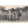 Rare collectable postcards of ALGERIE. Vintage Postcards of ALGERIE