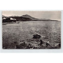 Rare collectable postcards of ALGERIE. Vintage Postcards of ALGERIE