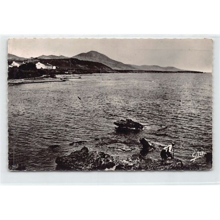 Rare collectable postcards of ALGERIE. Vintage Postcards of ALGERIE