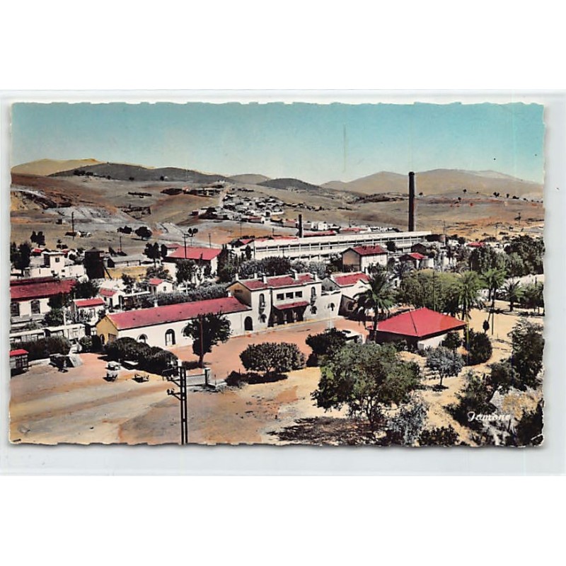 Rare collectable postcards of ALGERIE. Vintage Postcards of ALGERIE
