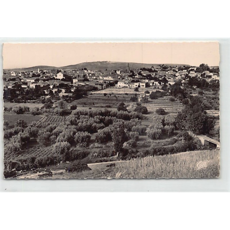 Rare collectable postcards of ALGERIE. Vintage Postcards of ALGERIE