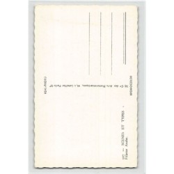 Rare collectable postcards of ALGERIE. Vintage Postcards of ALGERIE
