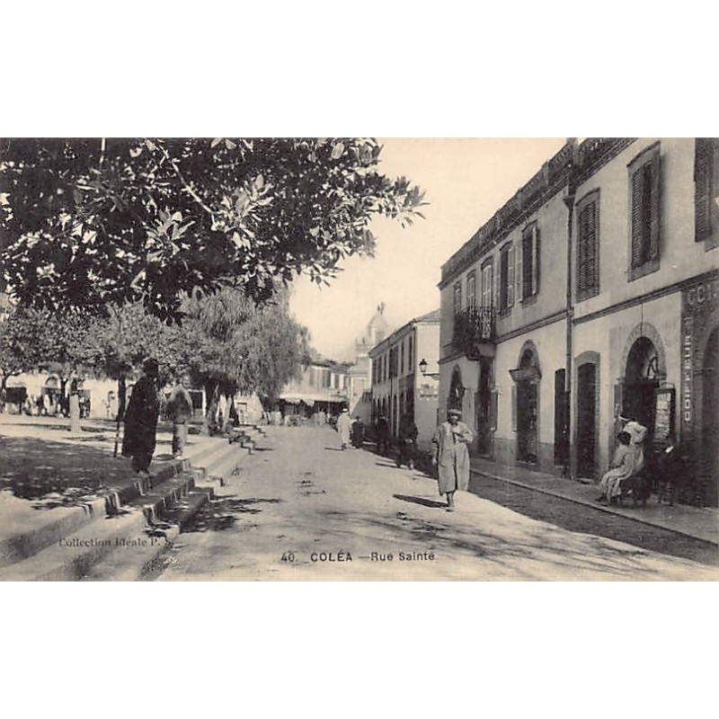 Rare collectable postcards of ALGERIE. Vintage Postcards of ALGERIE