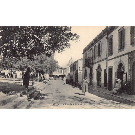 Rare collectable postcards of ALGERIE. Vintage Postcards of ALGERIE