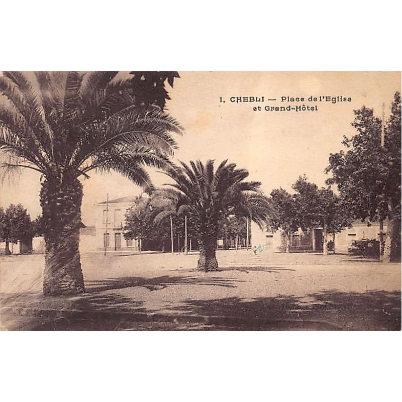 Rare collectable postcards of ALGERIE. Vintage Postcards of ALGERIE