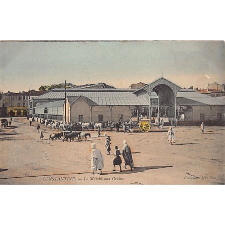 Rare collectable postcards of ALGERIE. Vintage Postcards of ALGERIE