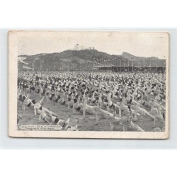 Rare collectable postcards of TUNISIE. Vintage Postcards of TUNISIE
