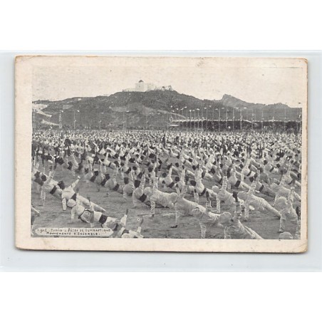 Rare collectable postcards of TUNISIE. Vintage Postcards of TUNISIE