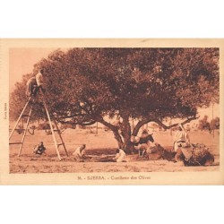 Rare collectable postcards of TUNISIE. Vintage Postcards of TUNISIE