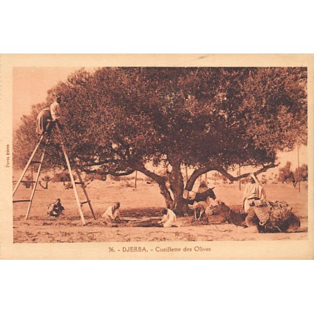 Rare collectable postcards of TUNISIE. Vintage Postcards of TUNISIE