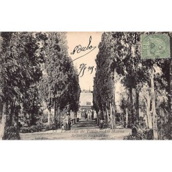 Rare collectable postcards of TUNISIE. Vintage Postcards of TUNISIE