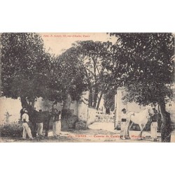 Rare collectable postcards of TUNISIE. Vintage Postcards of TUNISIE
