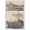 Rare collectable postcards of TUNISIE. Vintage Postcards of TUNISIE