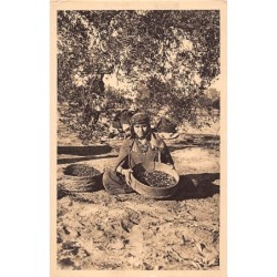 Rare collectable postcards of TUNISIE. Vintage Postcards of TUNISIE