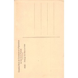 Rare collectable postcards of TUNISIE. Vintage Postcards of TUNISIE