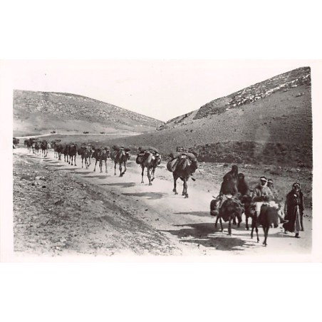 Rare collectable postcards of ISRAEL & PALESTINE. Vintage Postcards of ISRAEL & PALESTINE