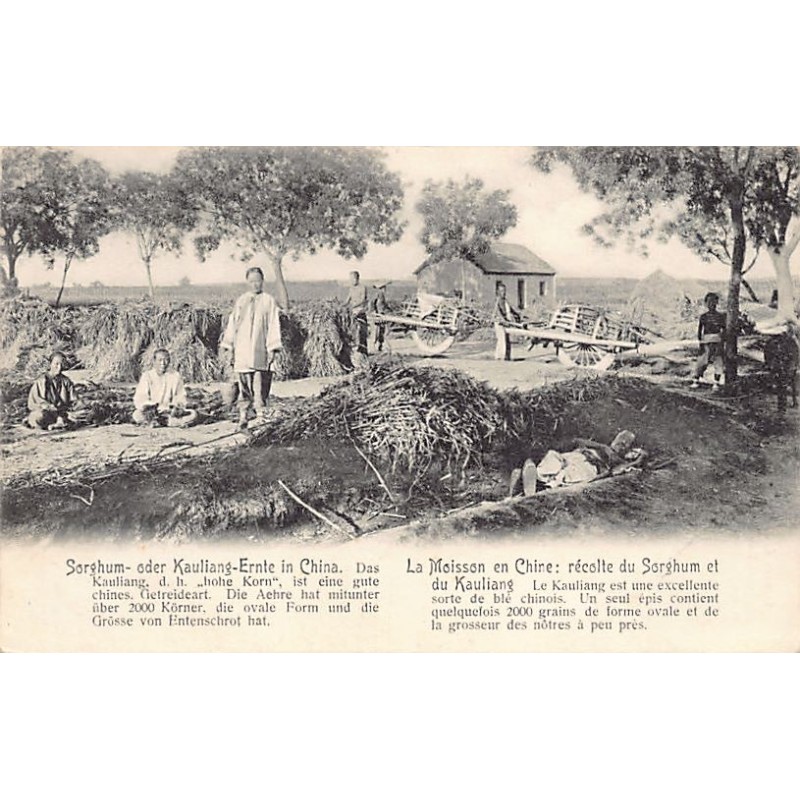 Rare collectable postcards of CHINA. Vintage Postcards of CHINA