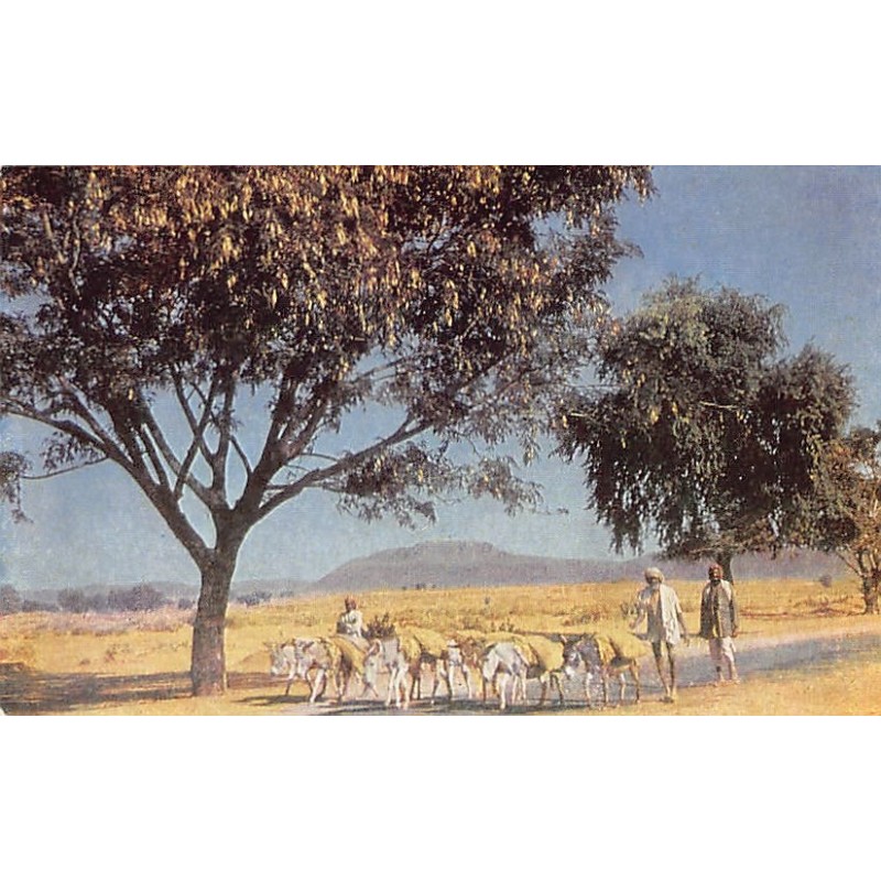 Rare collectable postcards of INDIA. Vintage Postcards of INDIA
