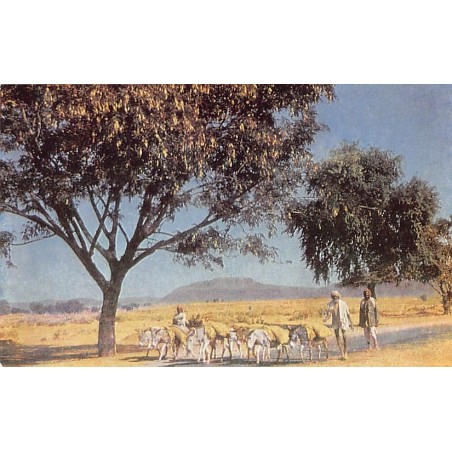 Rare collectable postcards of INDIA. Vintage Postcards of INDIA