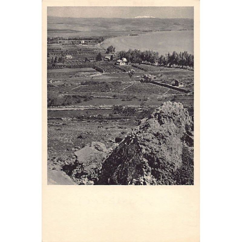 Rare collectable postcards of ISRAEL & PALESTINE. Vintage Postcards of ISRAEL & PALESTINE