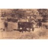 Rare collectable postcards of SYRIA. Vintage Postcards of SYRIA
