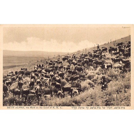 Rare collectable postcards of ISRAEL & PALESTINE. Vintage Postcards of ISRAEL & PALESTINE