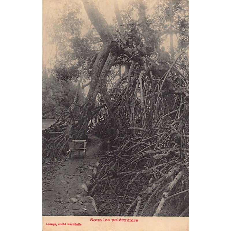 Rare collectable postcards of CONGO BRAZZAVILLE. Vintage Postcards of CONGO BRAZZAVILLE