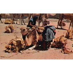 Rare collectable postcards of MALI. Vintage Postcards of MALI