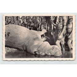 Rare collectable postcards of MALI. Vintage Postcards of MALI