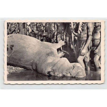 Rare collectable postcards of MALI. Vintage Postcards of MALI